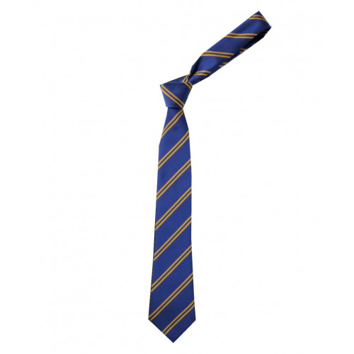 Wargrave School Tie - Standard - Royal/Gold